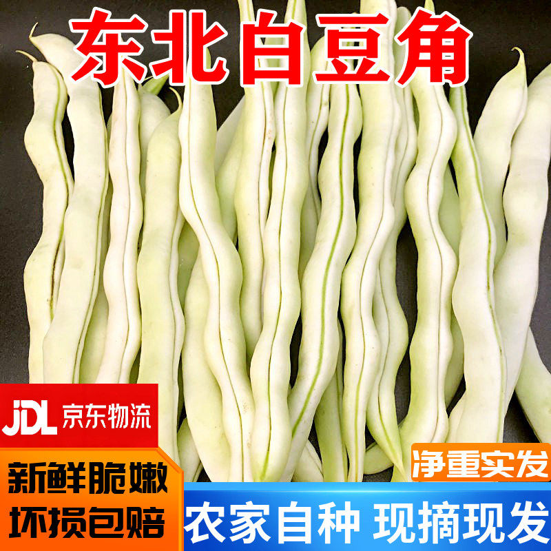 新鲜东北大架现摘5斤包邮白豆角