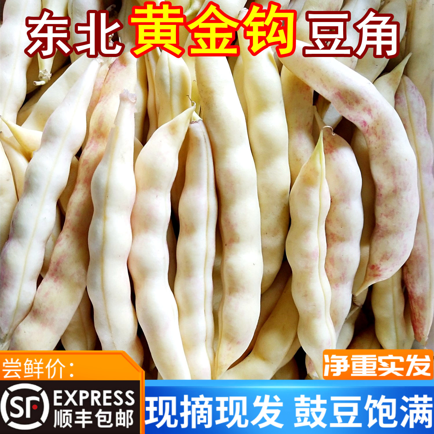 东北红金勾豆角沟钩黄新鲜蔬菜
