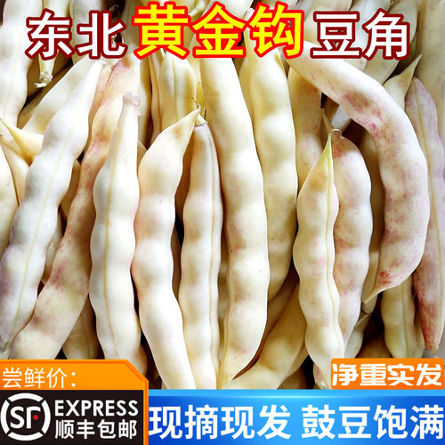 东北红金勾豆角沟钩黄新鲜蔬菜