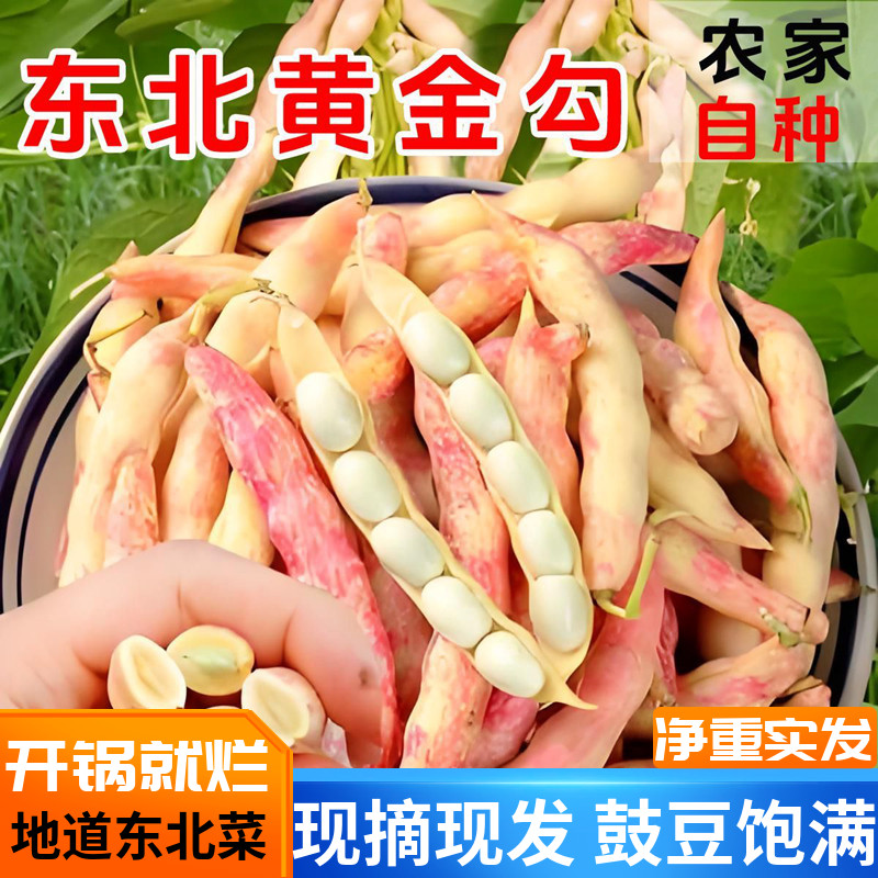 东北黄金沟豆角当季现摘新鲜包邮