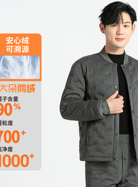 2025新款羽绒服男士内胆中老年鹅绒立领长袖冬季加厚保暖内搭外套