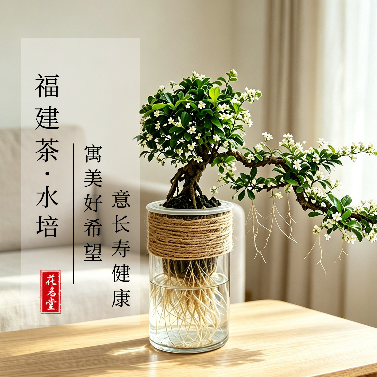 鱼缸水培植物小叶福建茶树盆景飘枝造型盆栽老桩办公室内风水高端图片