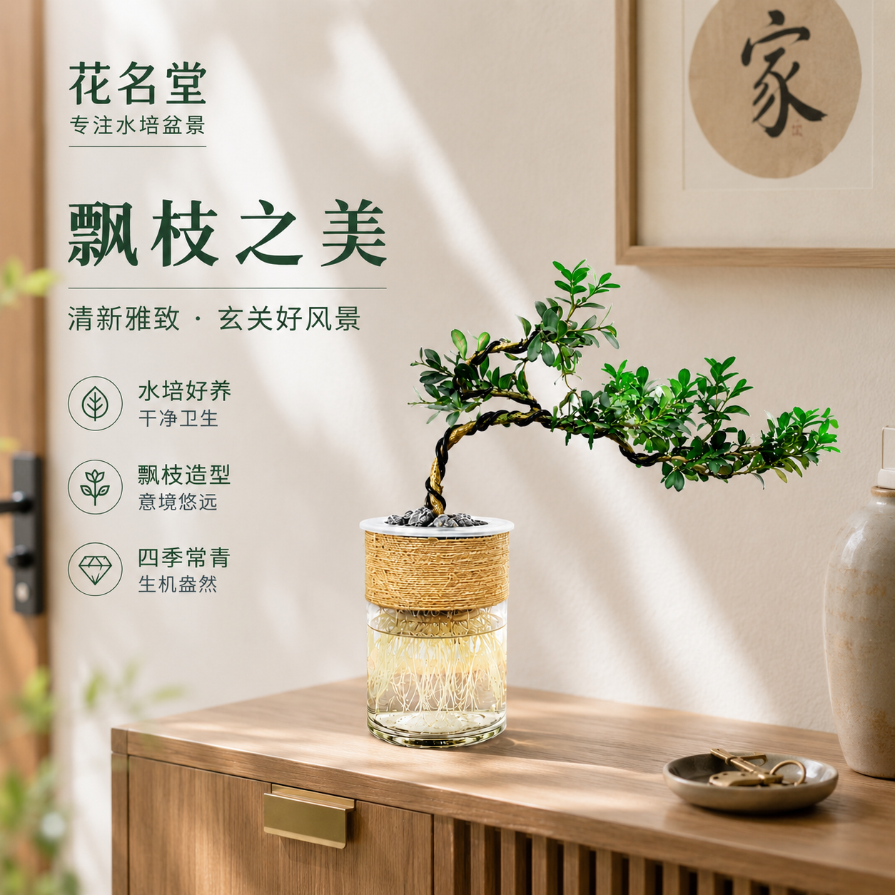 黄杨盆景桌面室内造型树罗汉松老桩水养办公室内好养鱼缸水培植物
