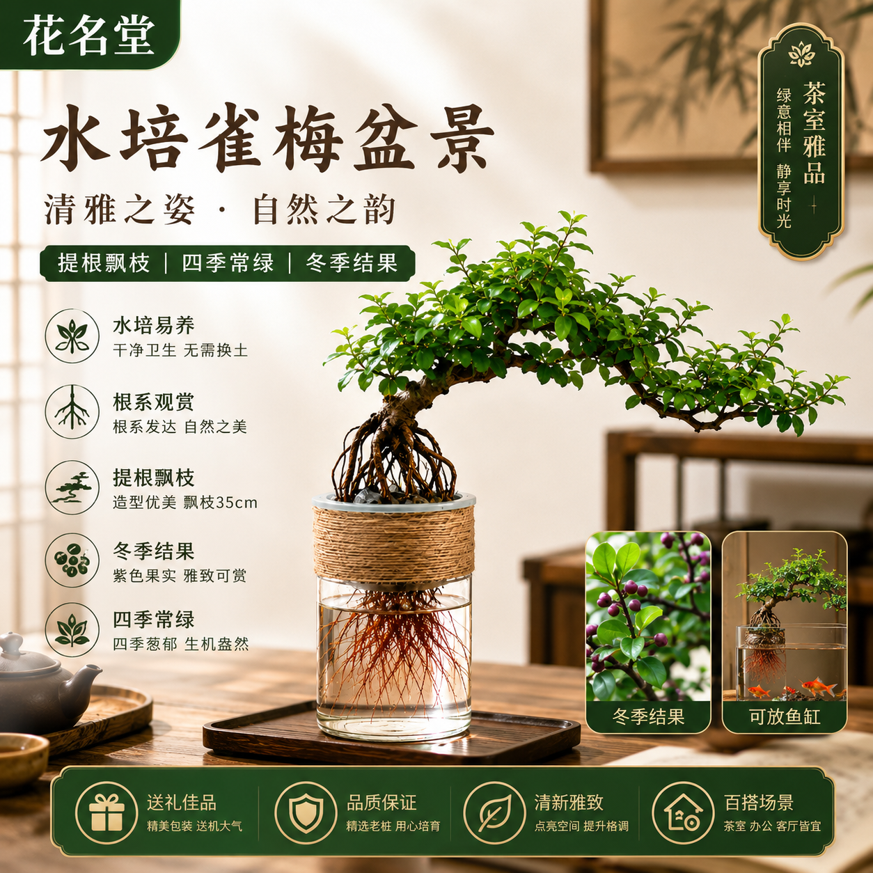 鱼缸水培绿植物小叶雀梅盆景树桩造型老桩室内桌面小盆栽四季常青
