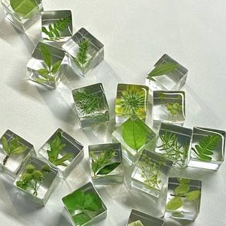 植物手工滴胶DIY方块成品立体桌面摆件标本永生花送朋友礼物饰品