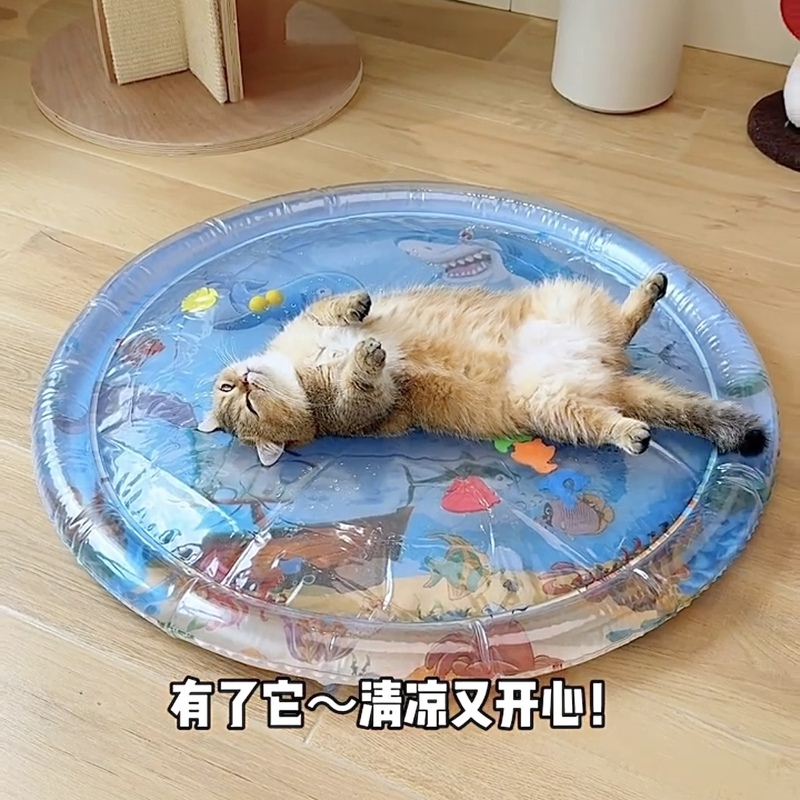 猫咪拍拍水垫婴幼儿爬爬垫抓小鱼玩具加大加厚注水垫夏季宠物冰垫