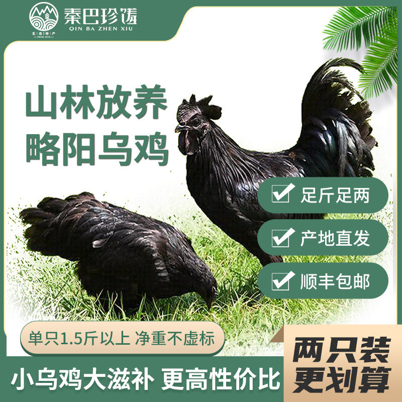 2只装特价略阳乌鸡深山放养整只乌骨鸡真空土鸡月子孕妇煲汤特产,水产肉类/新鲜蔬果/熟食,整鸡/整鸡制品,淘宝优惠券,粉丝福利购,淘宝优惠卷