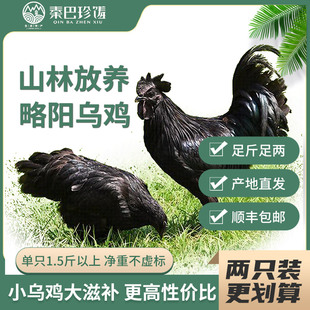 2只装特价略阳乌鸡深山放养整只乌骨鸡真空土鸡月子孕妇煲汤特产