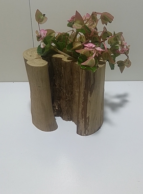 原木花盆实木花盆花瓶花盆花瓶花盆花瓶花盆花瓶花盆花瓶花盆