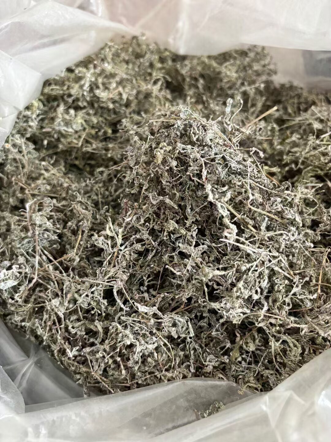 【顺丰包邮】湖南攸县藤茶霉茶2025年新茶 很嫩，明前茶