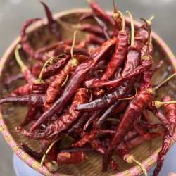 湖南攸县老品种红辣椒干农家自制干辣椒 玻璃椒干货