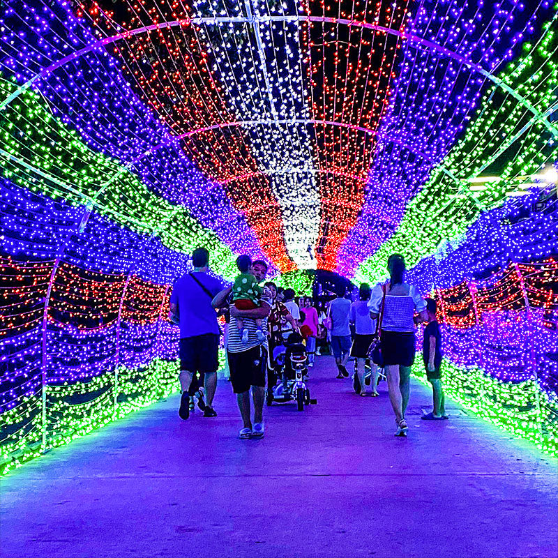 新年24V低压led小彩灯闪灯串灯满天星圣诞N春节装饰灯户外防水工,节庆用品/礼品,装饰灯,淘宝优惠券,粉丝福利购,淘宝优惠卷