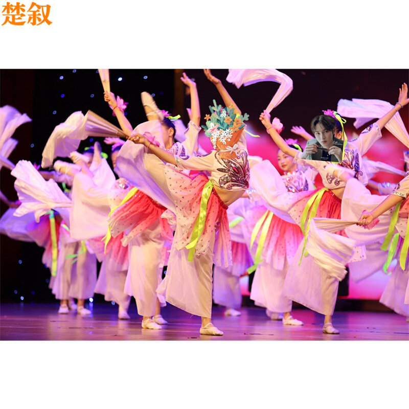 精选花开时节动京城舞蹈服荷花奖古典成人儿童演出服新款扇子舞秧