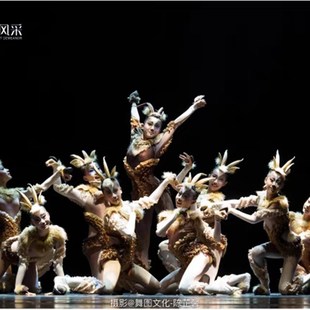 新选十二届小荷风采斑羚飞渡x演出服儿童藏羚羊舞蹈森林精羚动物