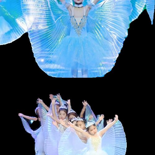 新选幼儿中国舞小风筝舞蹈服翅膀道E具儿童表演服芭蕾裙演出服新
