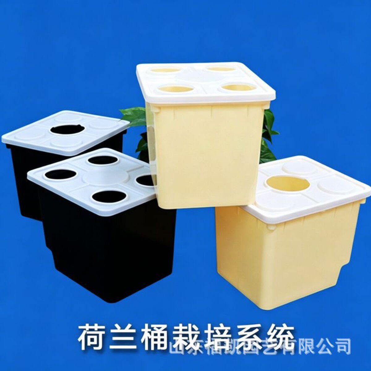 家庭阳台水培种菜盆荷兰桶无土栽培花盆塑料家用屋顶种菜箱荷兰桶