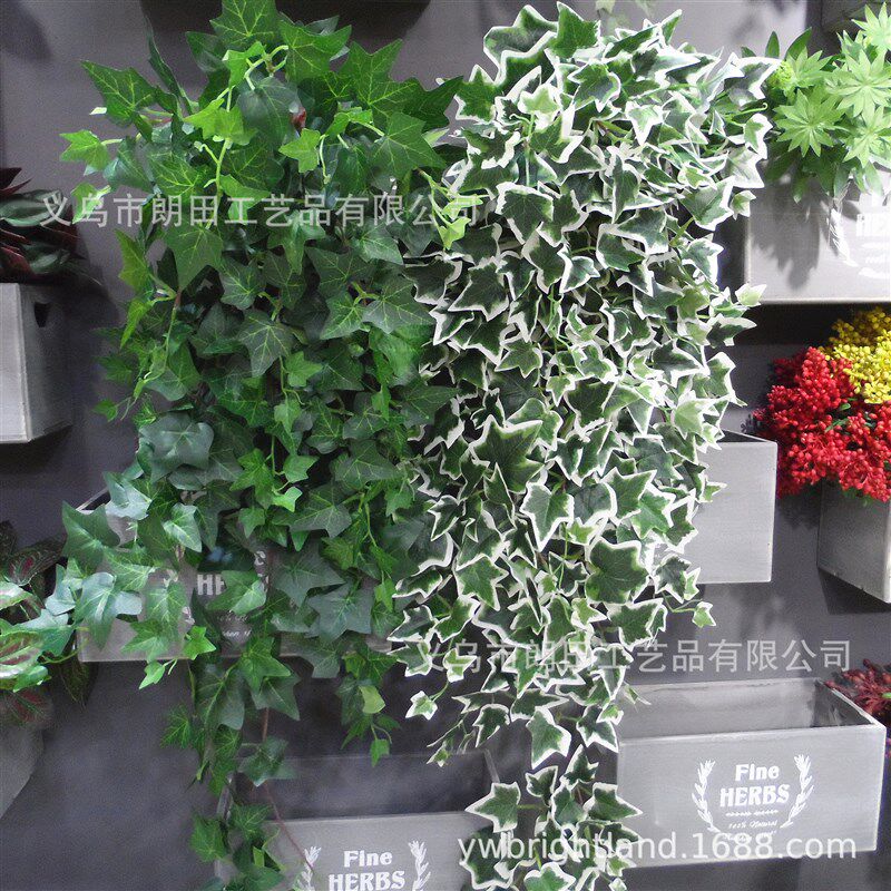 仿真常春藤壁挂绿植装饰把束地瓜叶绿色爬山虎藤蔓婚庆叶子植物