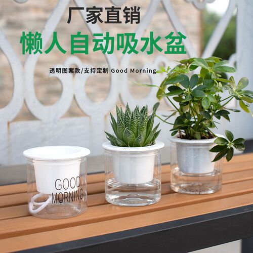 自动吸水透明懒人盆厂家直销创意圆形办公室桌面绿植水培塑料花盆