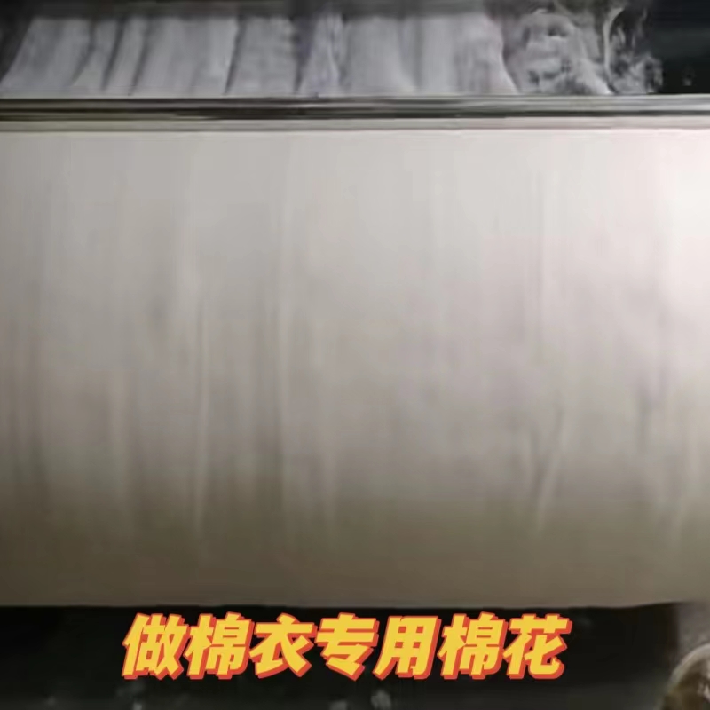 天然山东棉花棉絮棉衣棉裤填充物自家种植天然长绒棉散装皮棉被芯