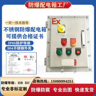 防爆配电箱不锈钢IICT6粉尘控制箱照明动力检修插座箱开关箱定制