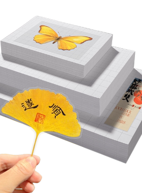 冷裱膜树叶标本照片塑封膜高光哑光自粘海报保护膜植物树叶昆虫标本相片冷膜纸封膜纸6寸 5寸 a4镭射冷裱膜