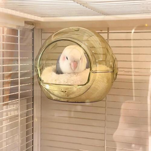 紫熏牡丹鸟窝鹦鹉窝全透明高透可窥冬季棉窝悬挂大空间四季通用窝