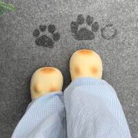 Cat-paw crocs, cute cat paw prints, anti-slip stamps, flip-flops, high appearance level, summer outerwear, thick-soled shoes with toe caps thumbnail 8