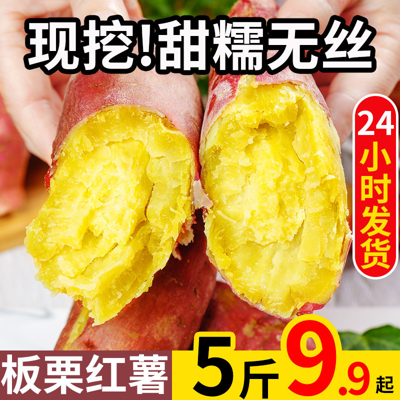 陕西板栗红薯新鲜农家自种沙地黄心蜜薯糖心番薯超甜烤地瓜10斤|msdalam kategori daging perikanan/Buah-buahan segar dan sayur-sayuran/dimasak, sayur-sayuran segar/Vegetable Products, sayur-sayuran segar, ubi keledek - dari Buy2taobao.com untuk memberikan perkhidmatan ejen Taobao profesional membeli