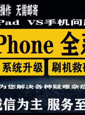 适用于苹果手机远程刷机iphone678X平板ipad迷你air解mini