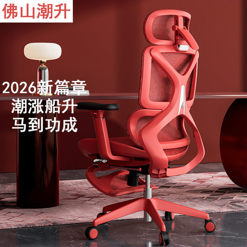 朱雀人体工学椅办公椅舒适久坐电竞椅撑腰座椅老板椅电脑椅子厂家