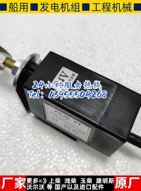 24V熄火器ZXJD-PT柴油机发电机组发动机熄火器 停车断火器 电磁阀