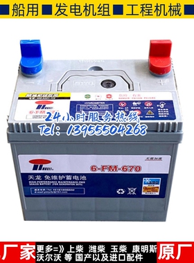 天龙蓄电池6-FM-670柴油发电机组专用电瓶SWG12V120AH