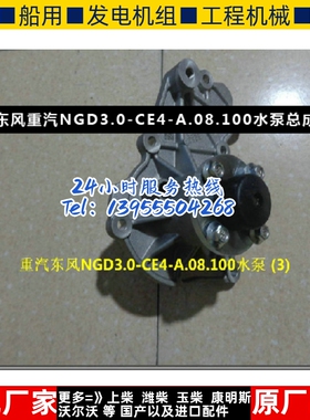 东风重汽NGD3.0-CE4-A.08.100水泵总成