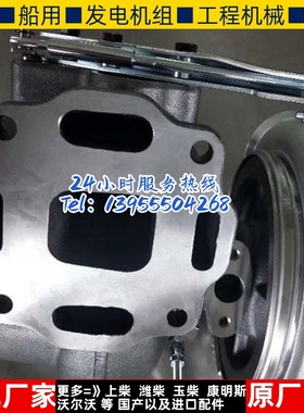 霍尔赛特-矿山 康明斯防爆HX55WM 4043577 4955500