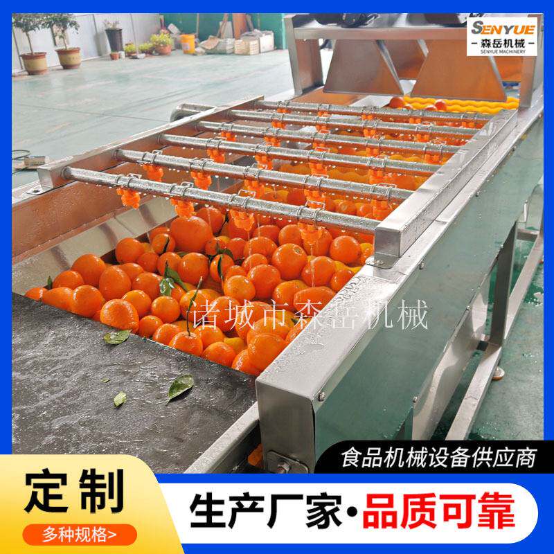 定制夏橙洗果机全自动水果清洗风干一体机设备芒果柠檬沃柑清洗机