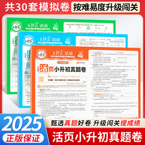 2025王朝霞小升初活页真题卷语文数学英语人教版小升初总复习模拟卷六年级下毕业突破刷重点真题试卷小升初专项总复习能力测试