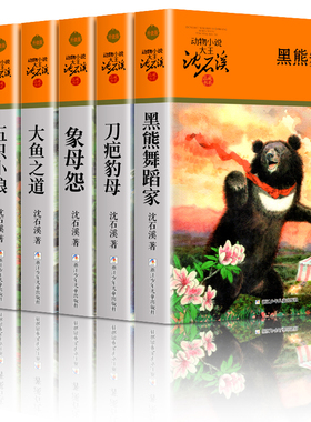 正版 沈石溪动物小说橙色特辑 全6册  黑熊舞蹈家刀疤豺母象母怨大鱼之道五只小狼王妃黑叶猴 6-10-12岁三四五六年级小学生课外