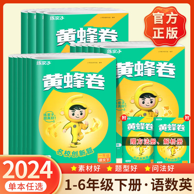 2024春练家子黄蜂卷同步试卷