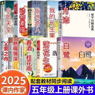 课内作家五年级上册必读 天堂月迹贾平凹动物素描城南旧事快乐读书吧5慈母情深课本 课外书白鹭郭沫若落花生许地山春酒桂花雨鸟