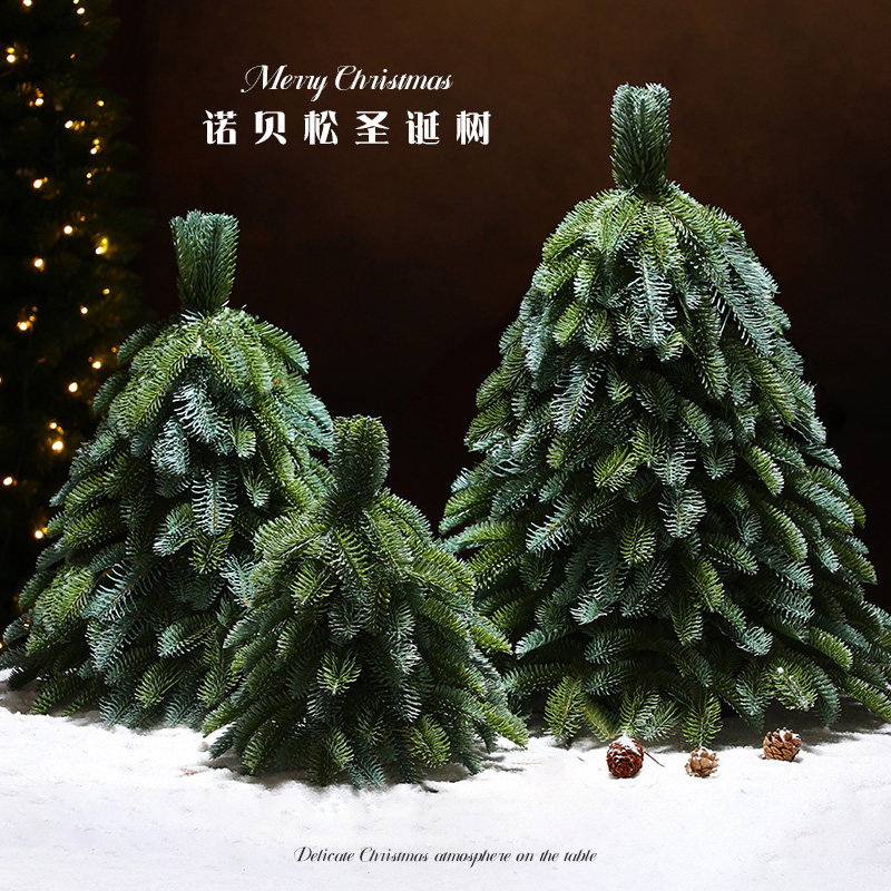 圣诞树小树2025新款诺贝松裸树