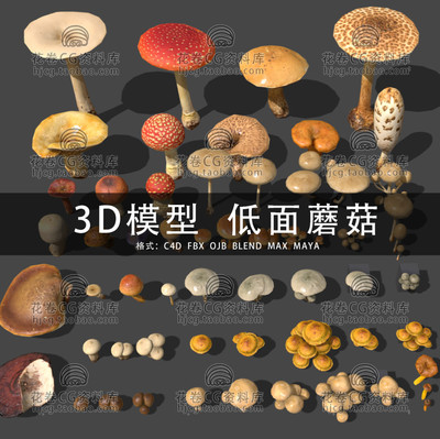 G862-C4D/MAYA/3DMAX三维素材 31种不同风格野蘑菇 3D模型素材