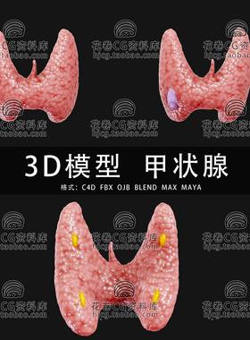 H677-C4D/MAYA/3DMAX三维 医学人体健康与非健康甲状腺3D模型素材