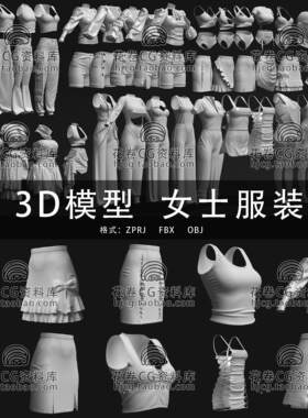 H668-C4D/MAYA/3DMAX MD服装女士衬衫上衣内衣短裙 3D模型素材