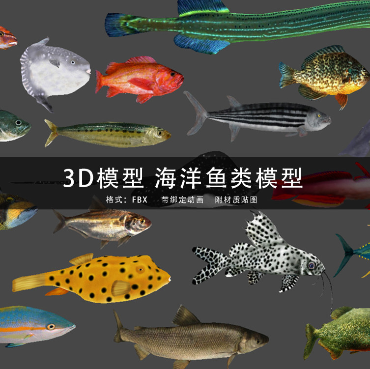 c4d/maya/3dmax 3d模型素材工程 海洋生物鱼类 带绑定动画 gc231