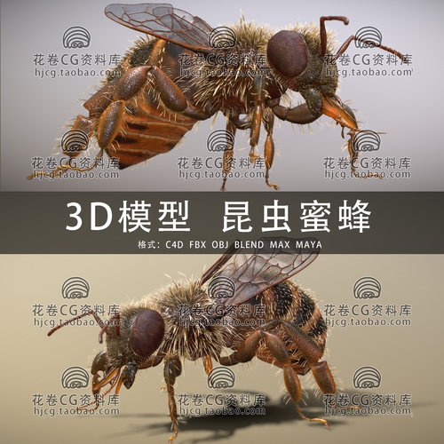 I372-C4D/MAYA/3DMAX三维 昆虫蜜蜂节肢动物 3D模型素材BLENDER