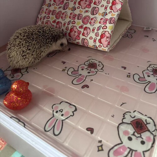 优活宠物降温冰垫刺猬猫狗凉席