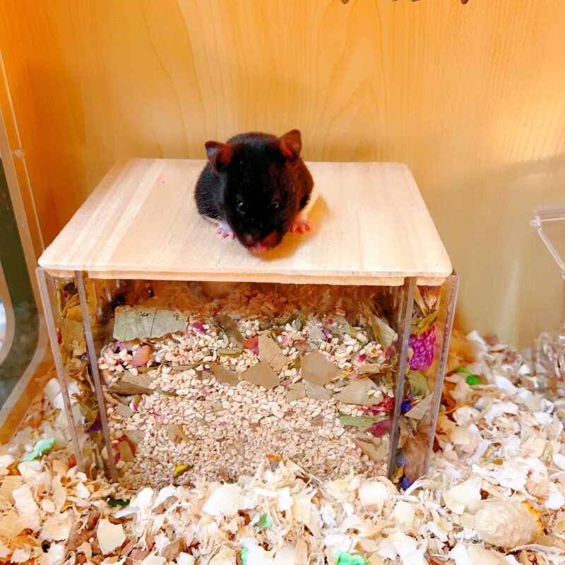仓鼠挖掘屋箱金丝熊躲避窝夏天偷窥玩具小屋亚克力全透明造景用品