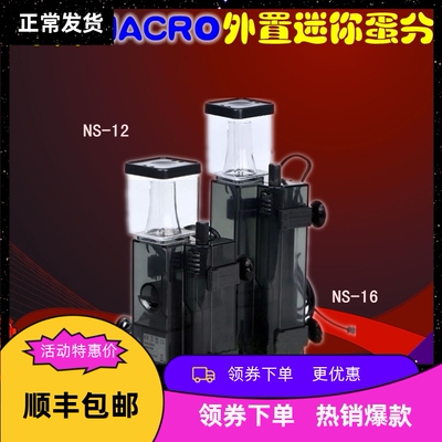 台湾玛科迷你海水鱼缸分化