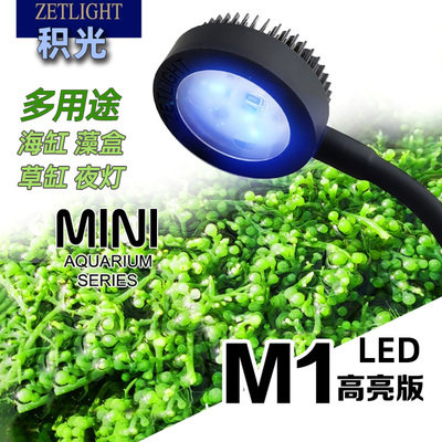 积光M1灯海水珊瑚LED灯小夹灯Q2B