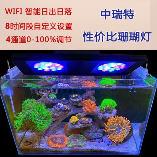 Led灯珊瑚价格 Led灯珊瑚图片 星期三